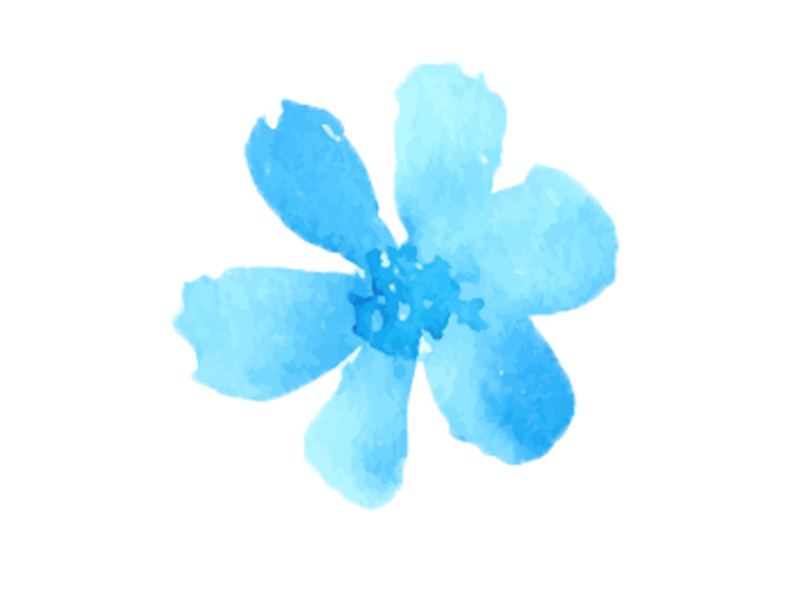 青いお花