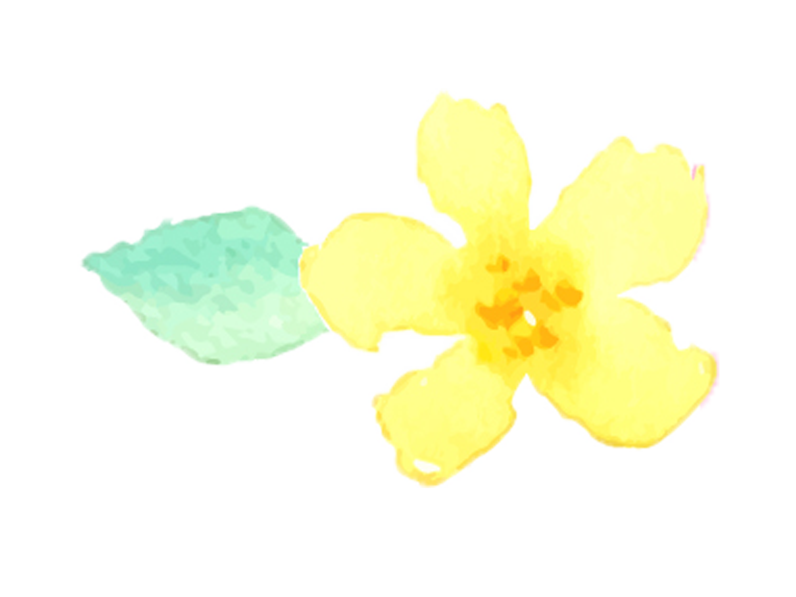 黄色いお花